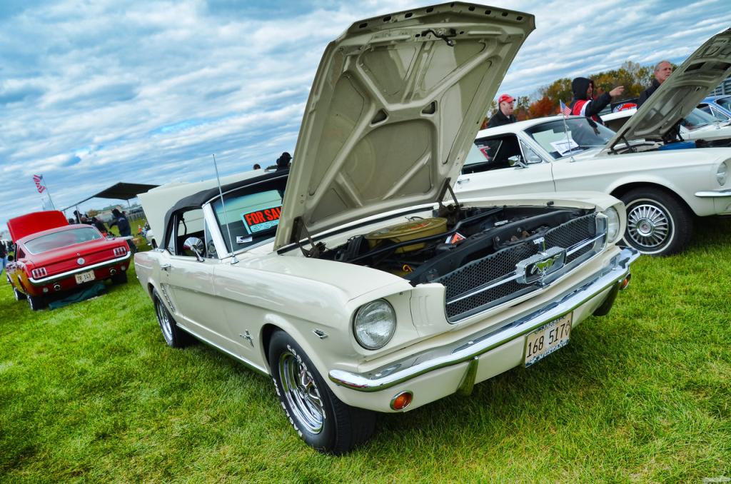 D7K_7918 copy.jpg