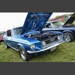 D7K_7931 copy.jpg
