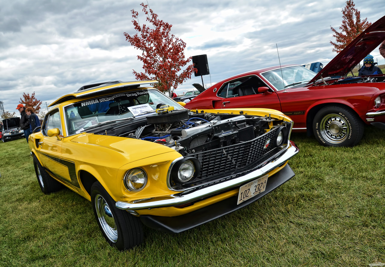 D7K_7961 copy.jpg