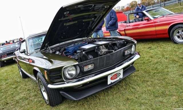 D7K_7995 copy.jpg