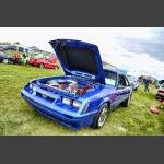D7K_8011 copy.jpg
