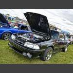 D7K_8016 copy.jpg