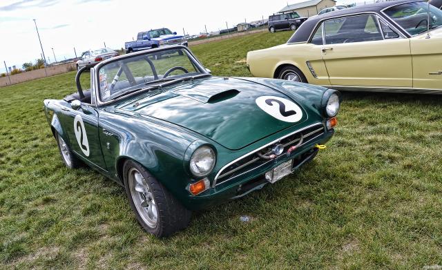 D7K_8601 copy.jpg
