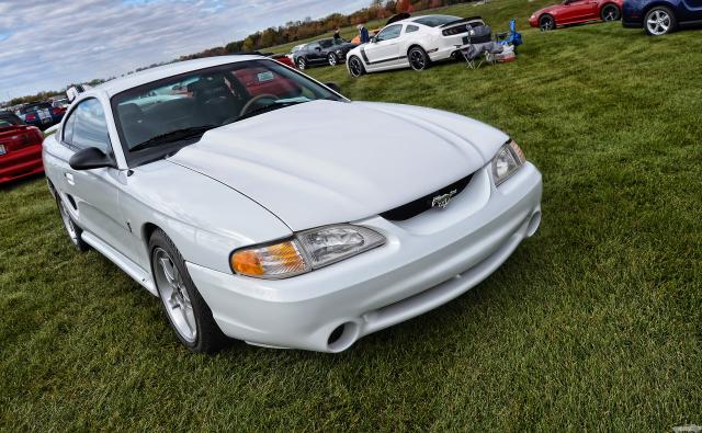 D7K_8678 copy.jpg