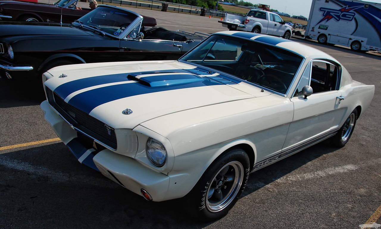 DSC_0648.jpg
