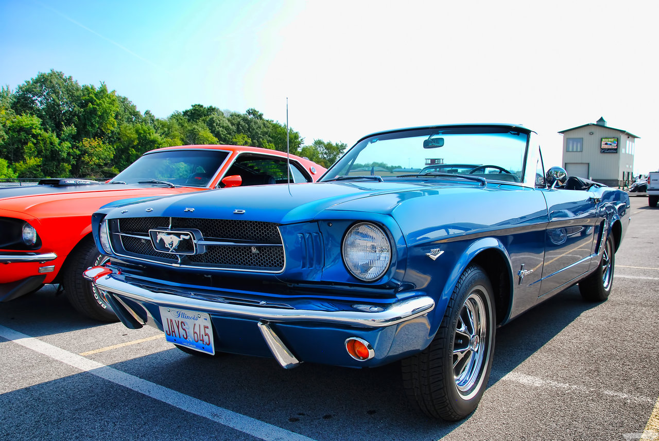 DSC_0687.jpg