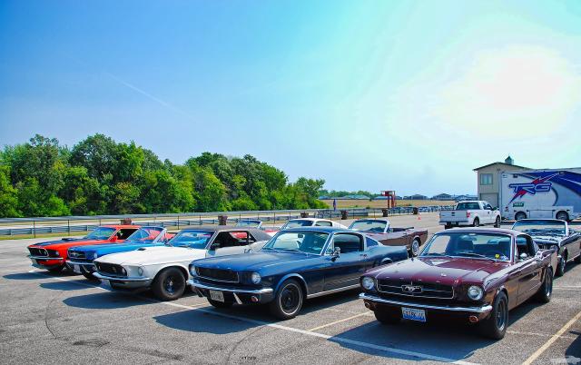 DSC_0712.jpg