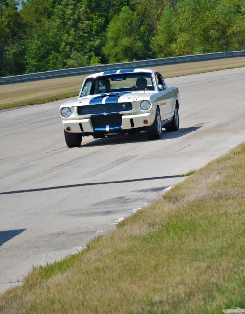 D7K_7158.jpg