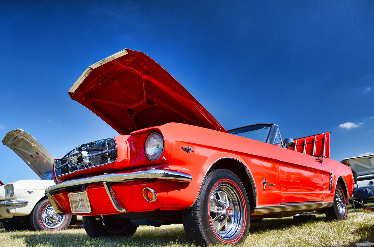 D7K_3605.jpg