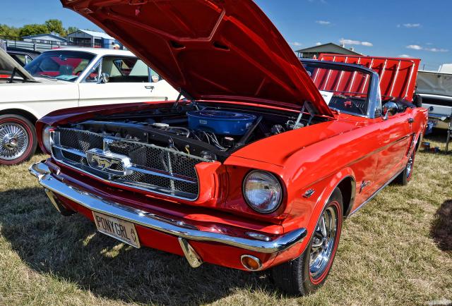 D7K_3608.jpg