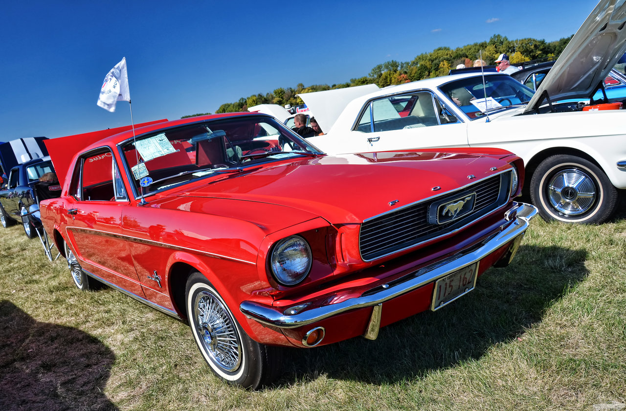 D7K_3695.jpg