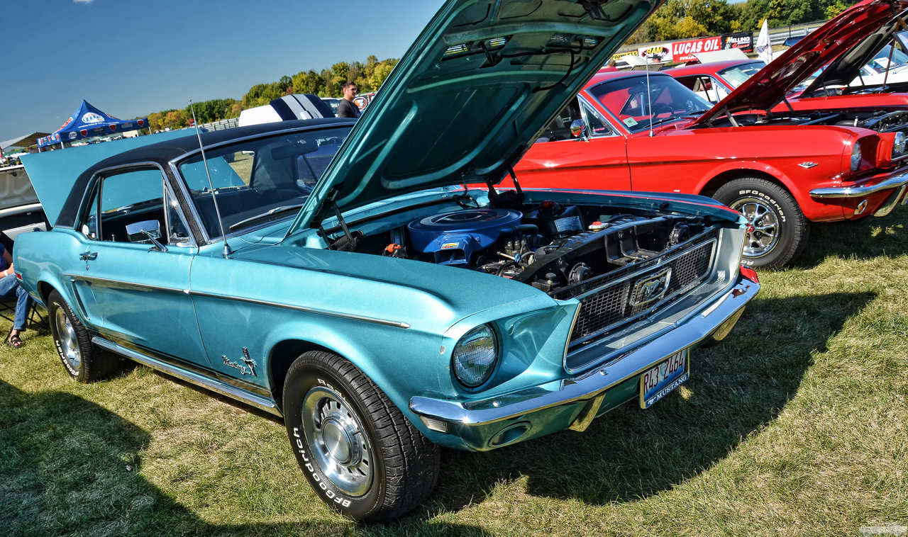 D7K_3721.jpg