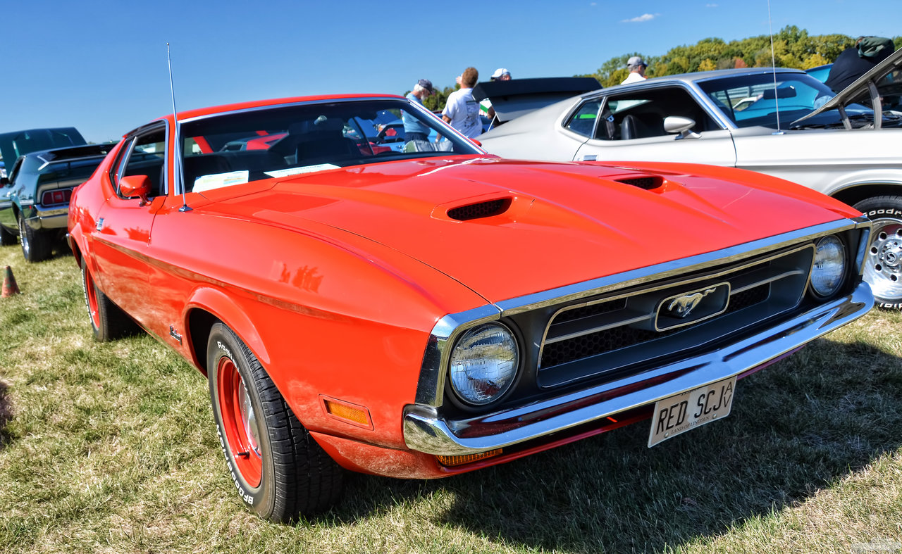 D7K_3843.jpg