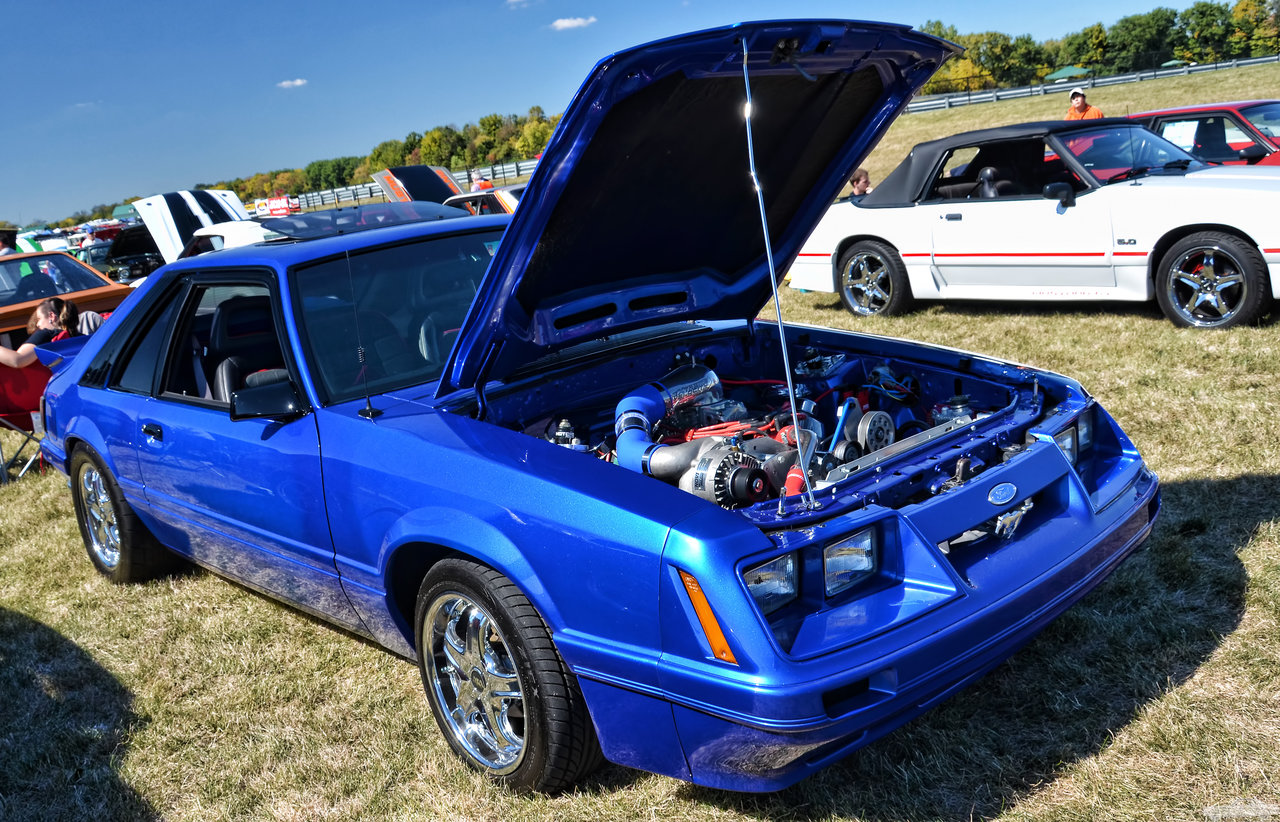 D7K_3931.jpg