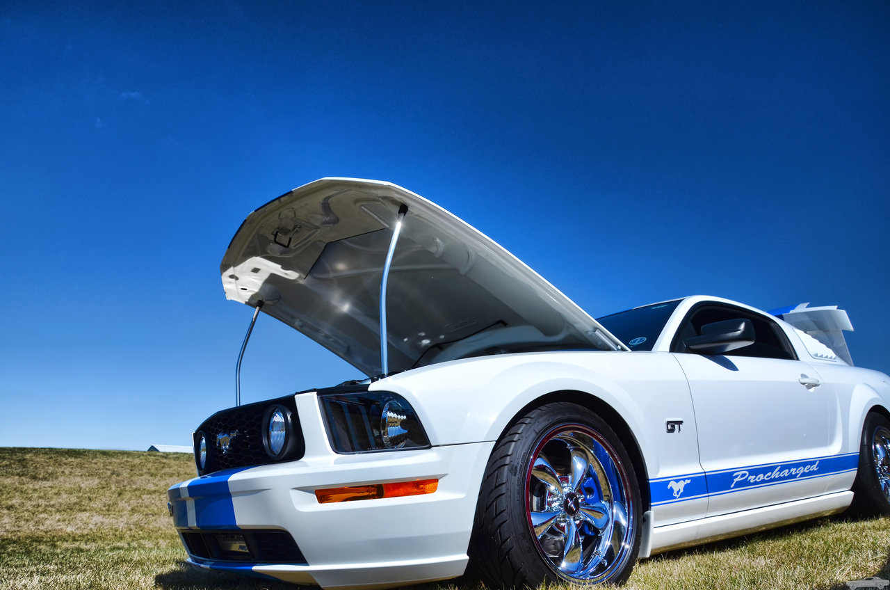 D7K_3958.jpg