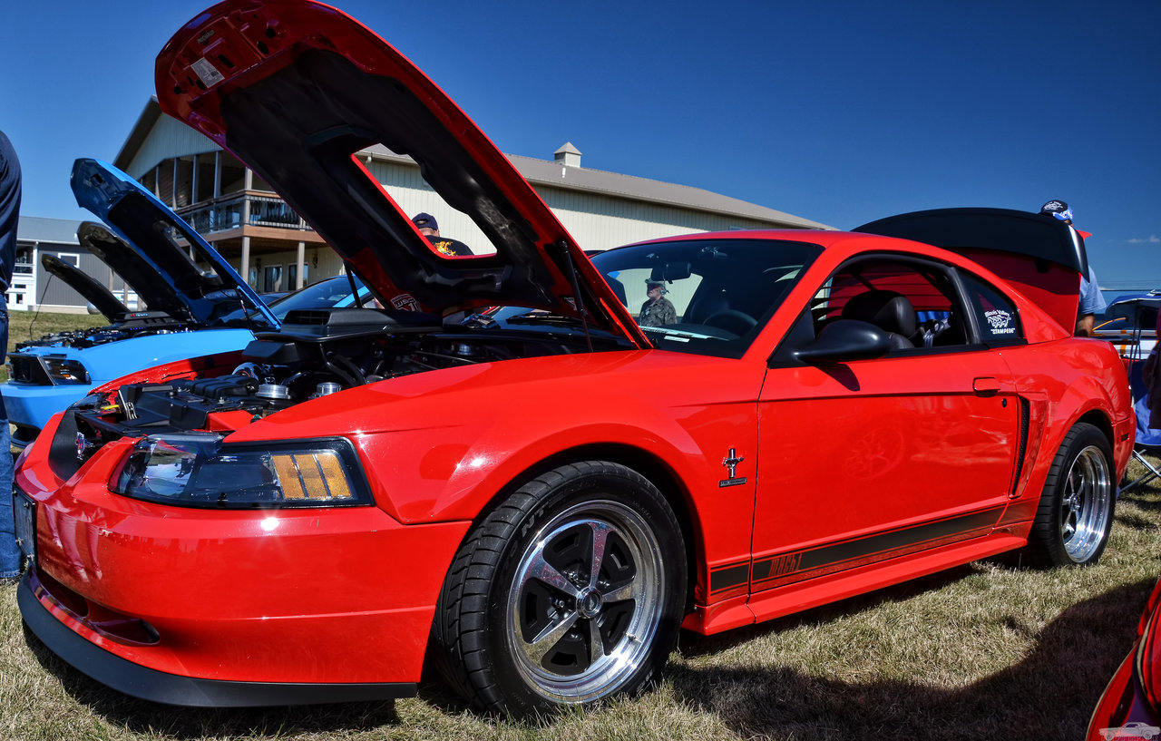 D7K_4073.jpg
