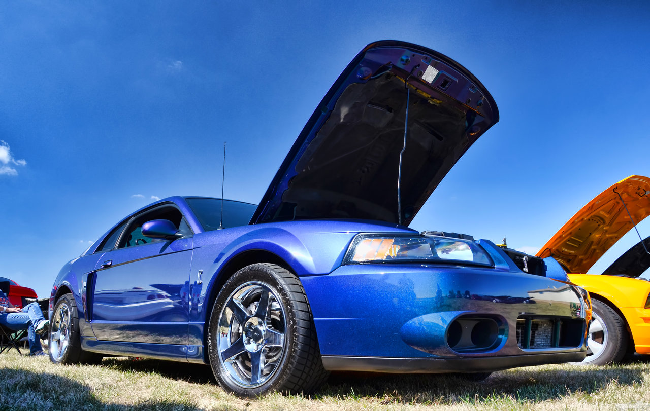 D7K_4105.jpg