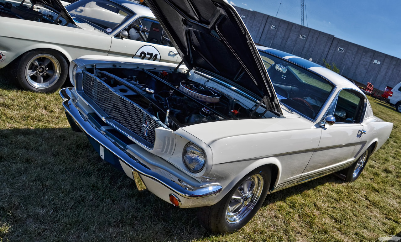 D7K_4409.jpg