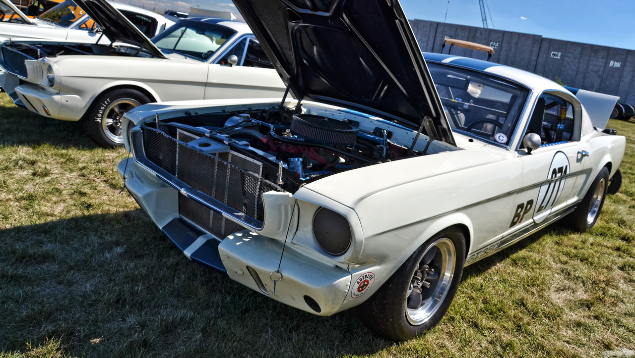D7K_4419.jpg