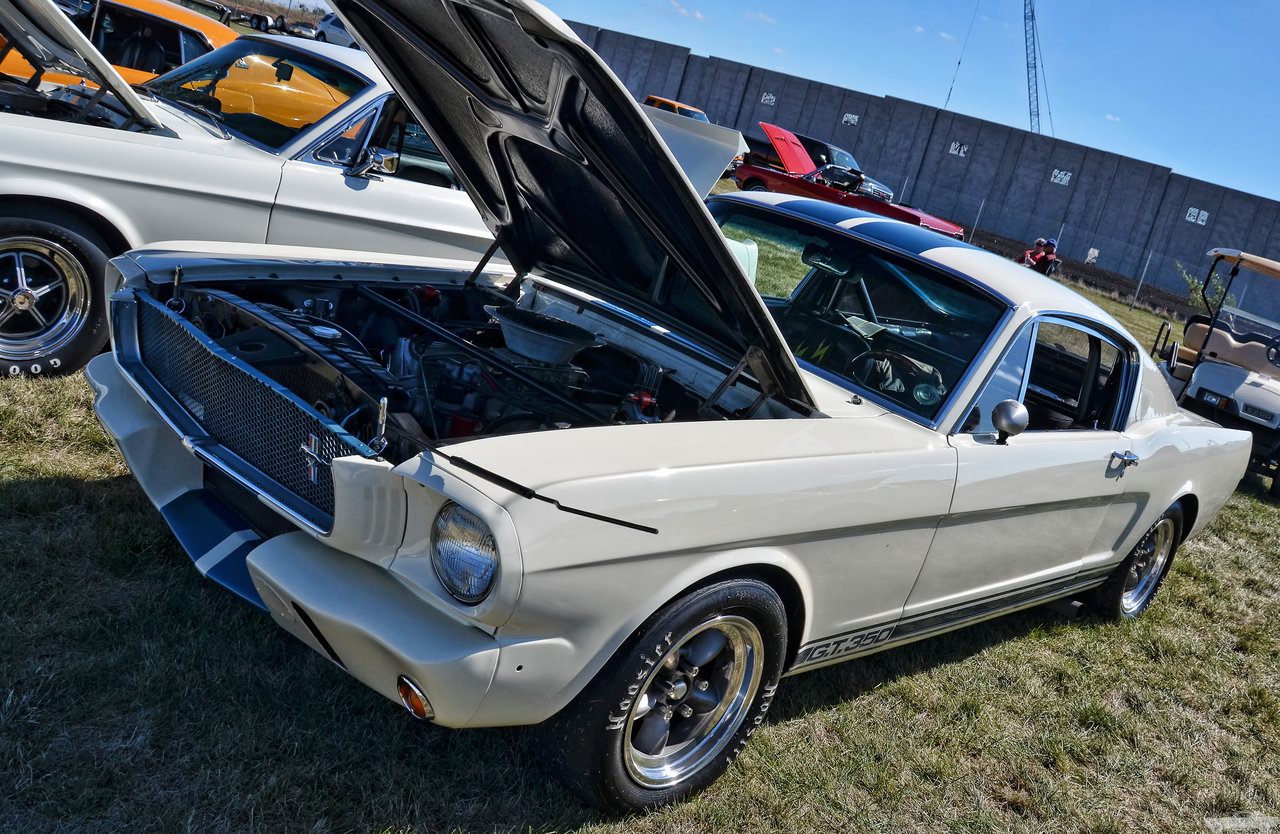D7K_4424.jpg