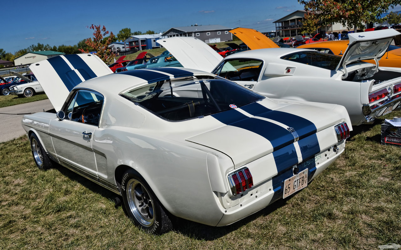 D7K_4430.jpg