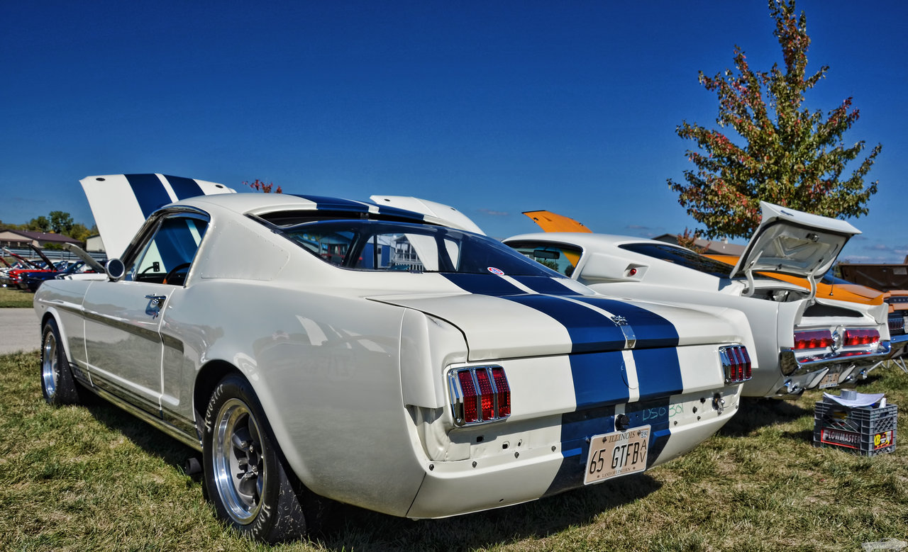 D7K_4432.jpg