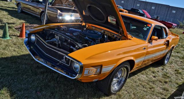 D7K_4454.jpg