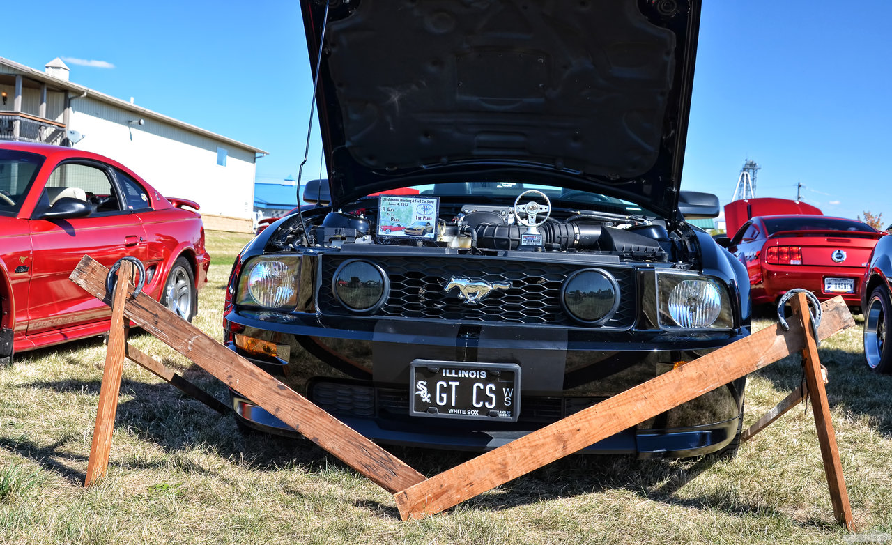 D7K_4567.jpg
