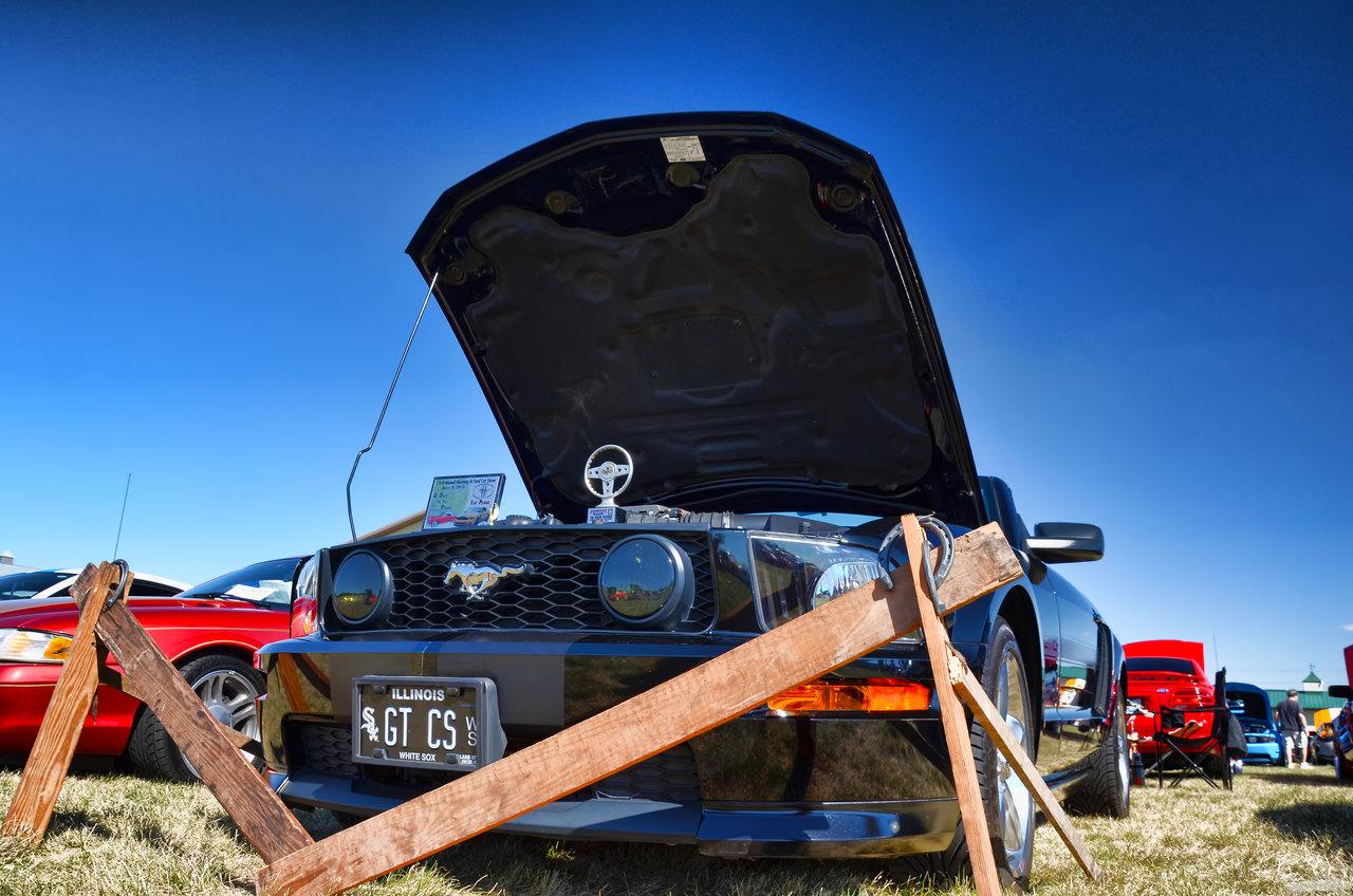 D7K_4572.jpg