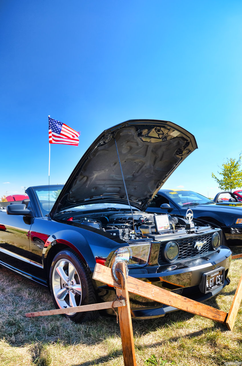 D7K_4576.jpg