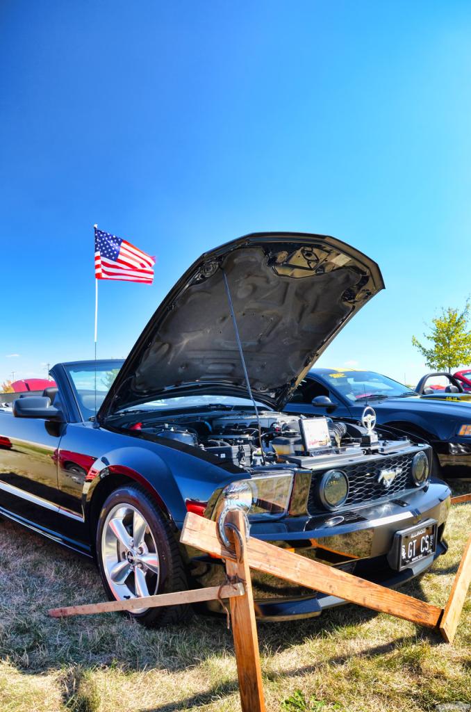 D7K_4576.jpg
