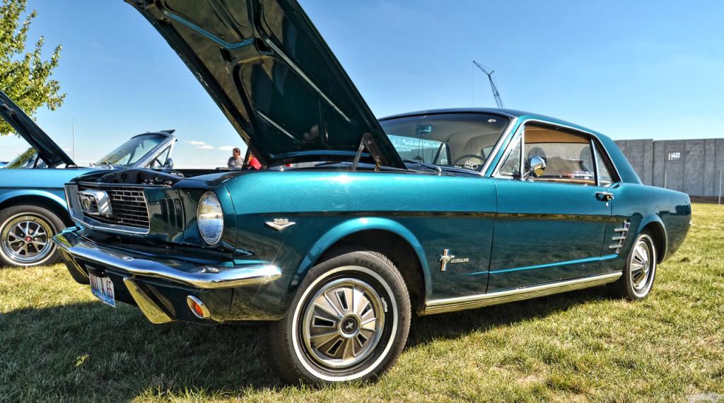 D7K_4648.jpg