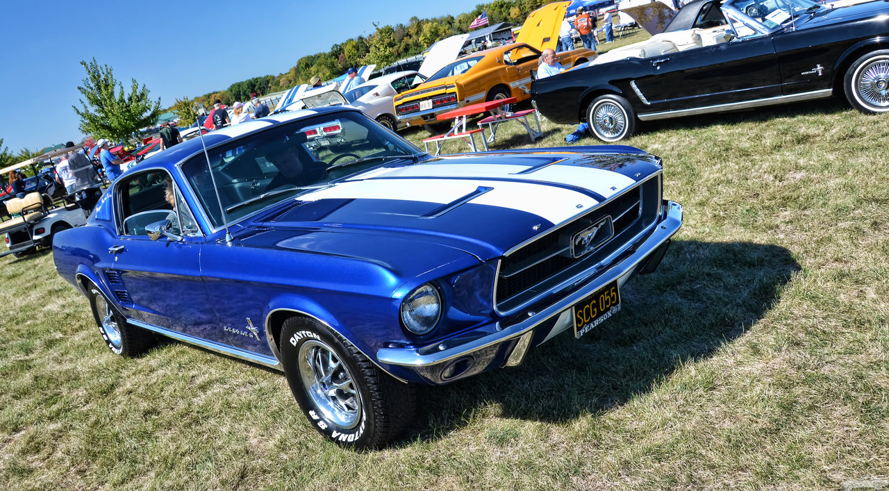 D7K_4256.jpg