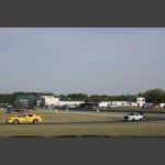 RM_MG_6452