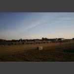 RMIMG_6287