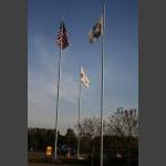 RMIMG_6290