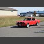 RMIMG_6596