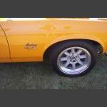 DC100_7861