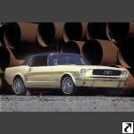 Mustang Color Guide