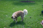 IMG_5793.jpg

4,096.40 KB 
3072 x 2048 
9/24/2006
