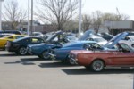 IMG_6190.jpg

1,189.92 KB 
3072 x 2048 
5/2/2007
