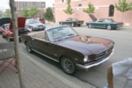 IMG_6443.jpg

885.99 KB 
3072 x 2048 
6/25/2007
