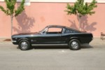 IMG_6448.jpg

923.62 KB 
3072 x 2048 
6/25/2007
