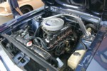 IMG_6472.jpg

959.69 KB 
3072 x 2048 
6/25/2007
