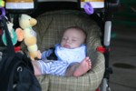 IMG_6858.jpg

2,622.79 KB 
3072 x 2048 
7/29/2007
