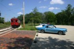 IMG_6867.jpg

3,609.03 KB 
3072 x 2048 
7/29/2007
