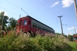 IMG_6927.jpg

3,684.07 KB 
3072 x 2048 
7/29/2007

