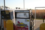 RMIMG_6279.jpg
2,176.56 KB
3456 x 2304
9/30/2007