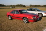 RMIMG_6321.jpg
4,197.78 KB
3456 x 2304
9/30/2007
