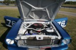 RMIMG_6478.jpg
3,634.63 KB
3456 x 2304
9/30/2007